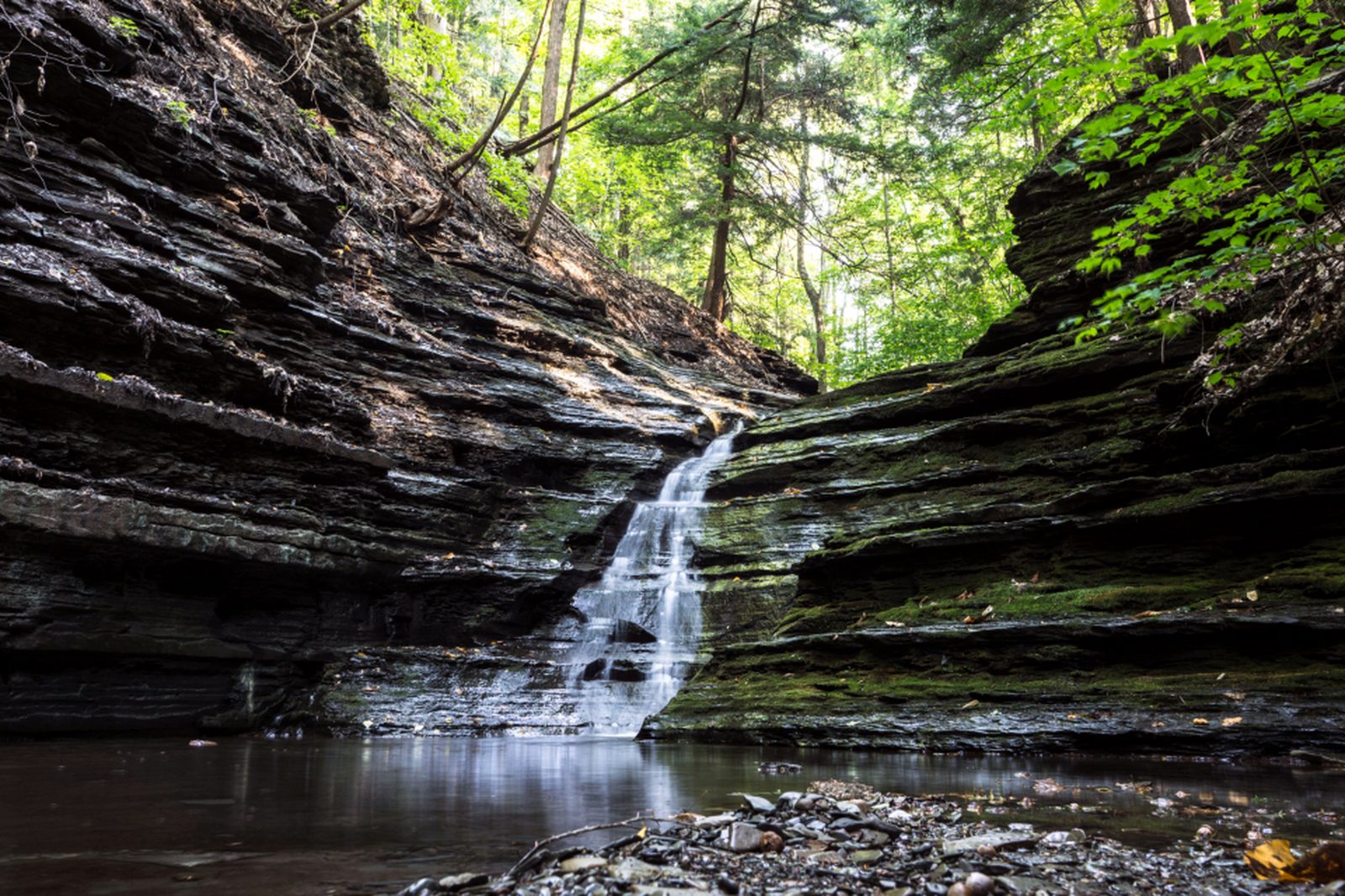 A creek running over rock ledges through wooded bottomland